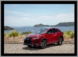 Lexus RX 350 F